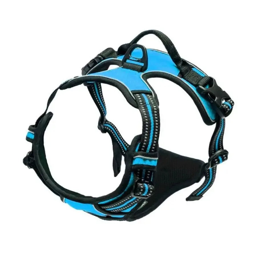 Canine Harness
