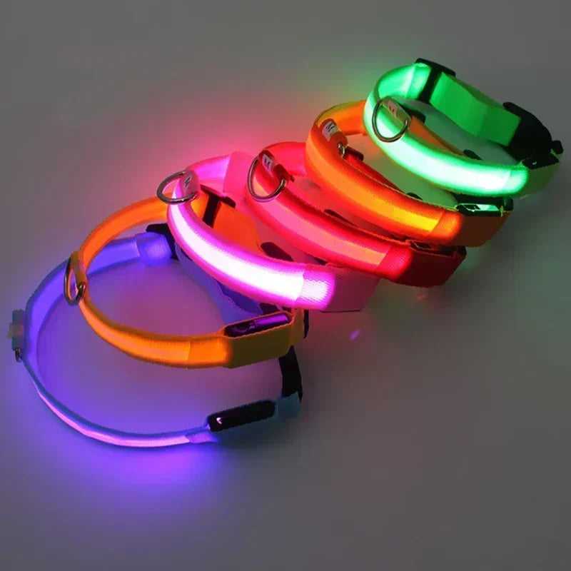 GlowPup Collar