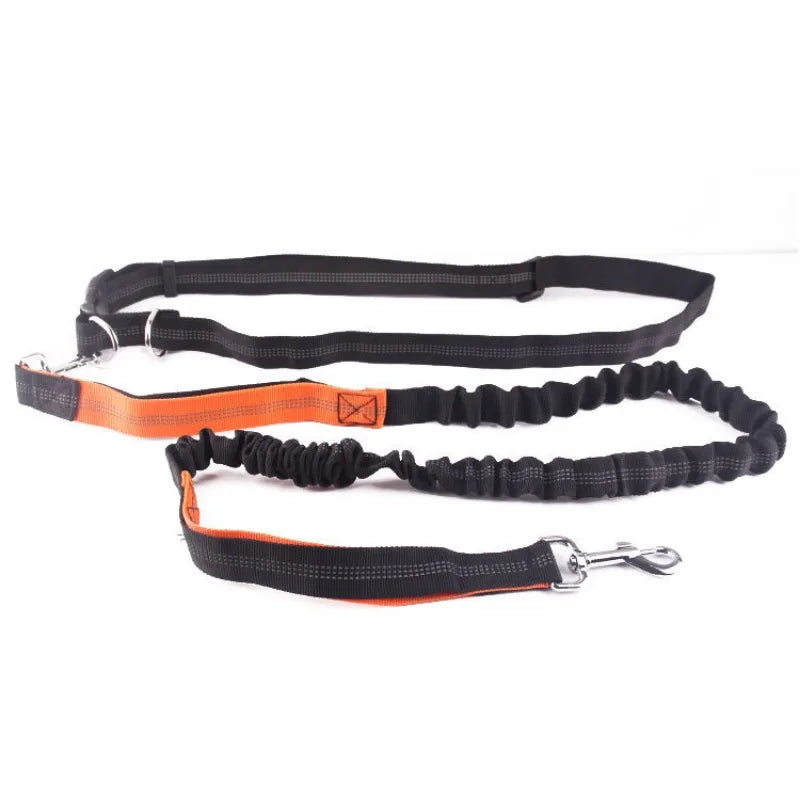Hand Free Leash