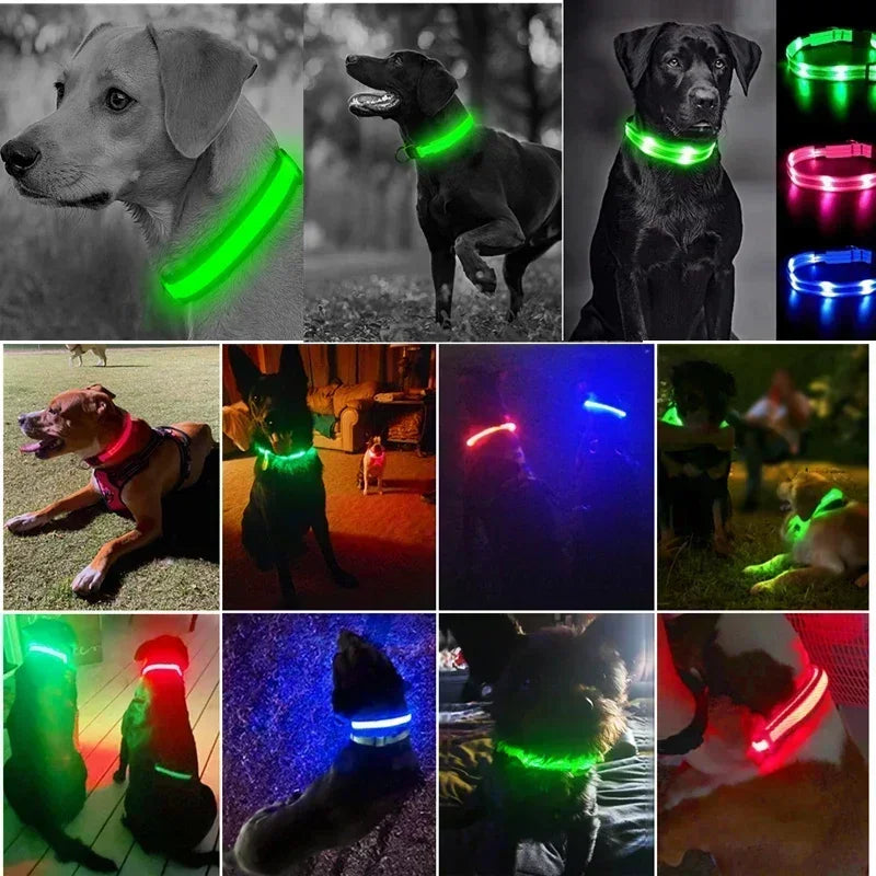 GlowPup Collar