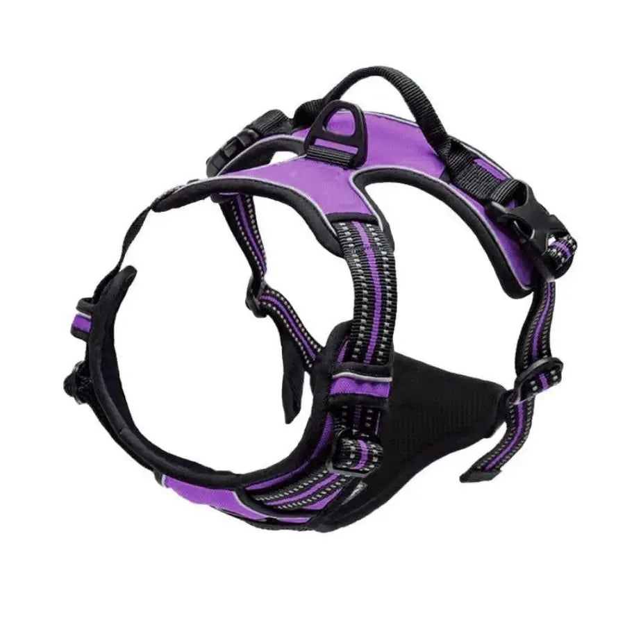 Canine Harness
