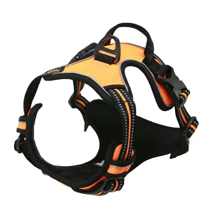 Canine Harness