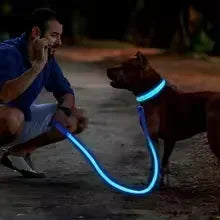 GlowPup Collar