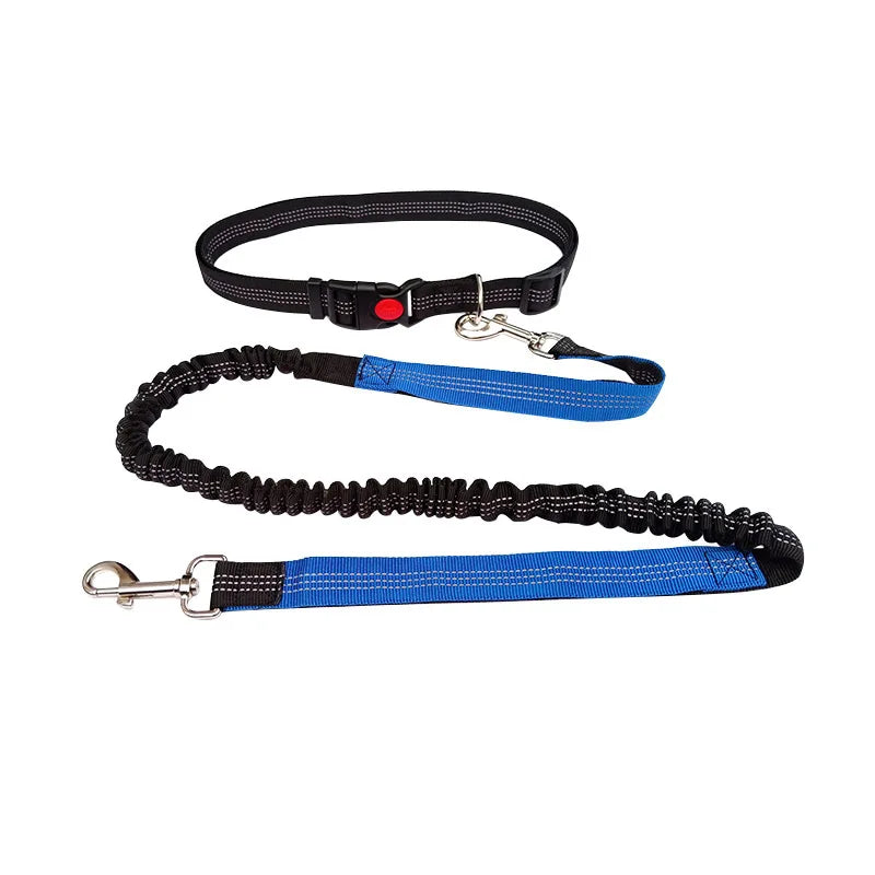 Hand Free Leash