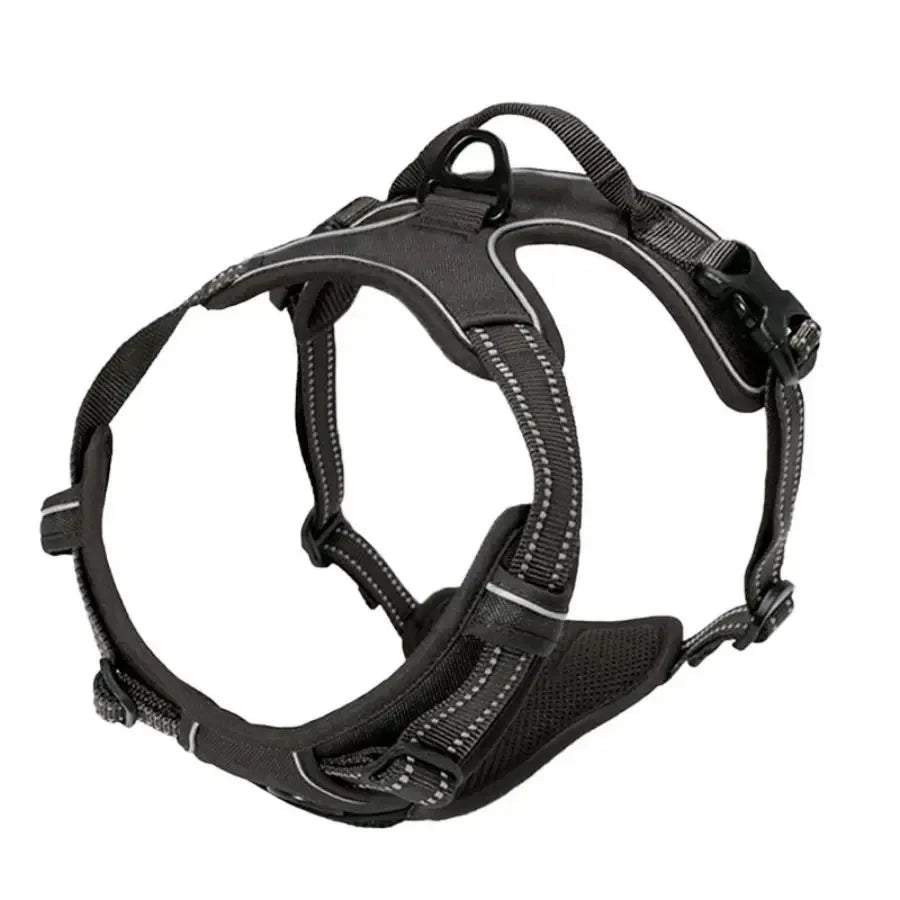 Canine Harness